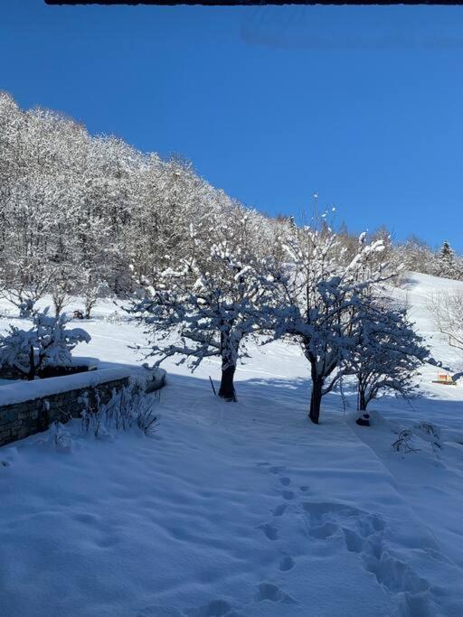 Meribel Chalet De Severine Les Allues Zewnętrze zdjęcie